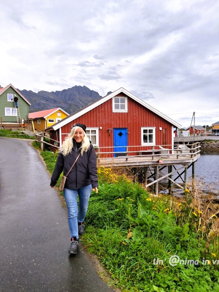 henningsvaer lofoten