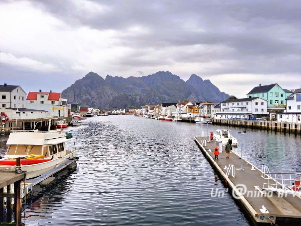 henningsvaer lofoten