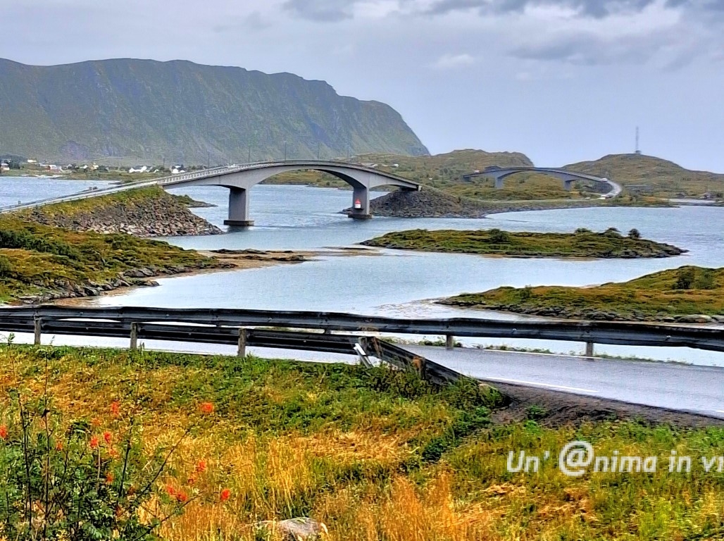 lofoten