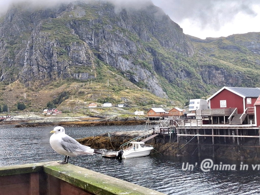 langbua sorvagen lofoten