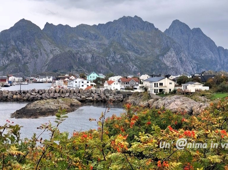 henningsvaer lofoten