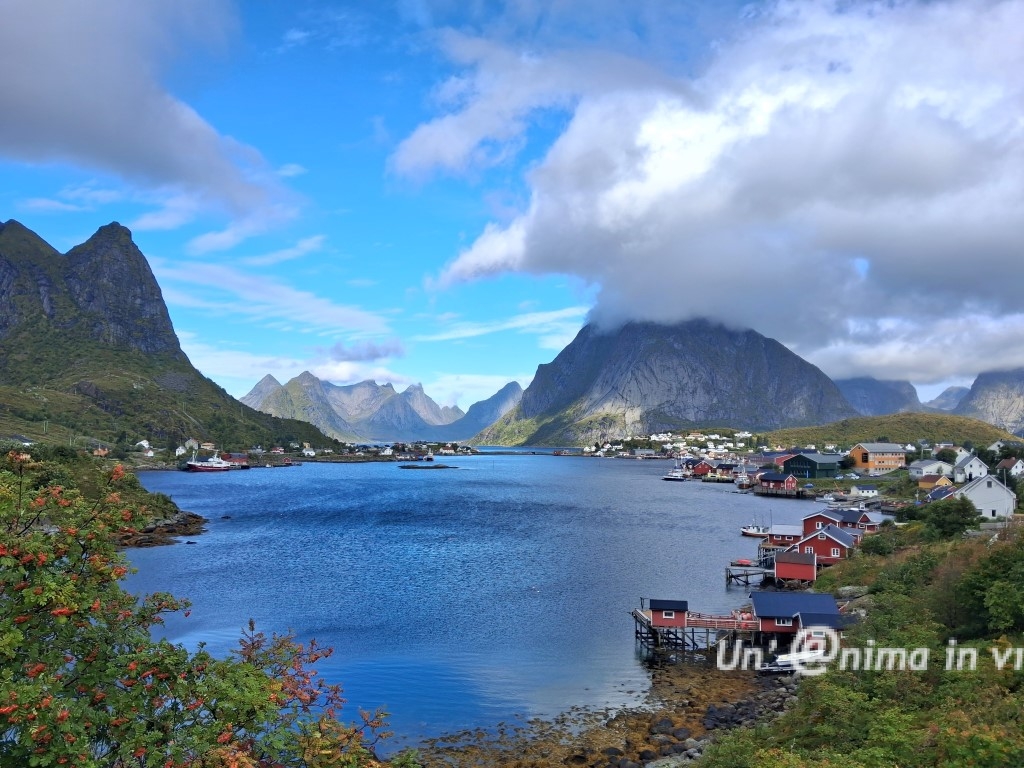 REINE LOFOTEN