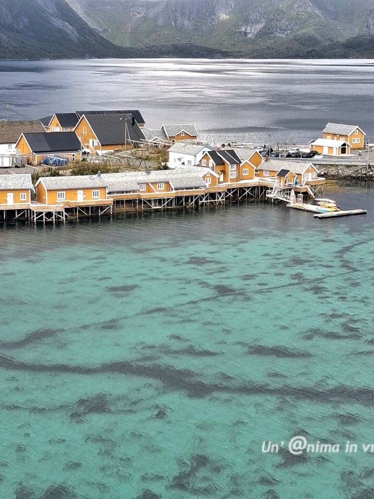 sakrisoy lofoten