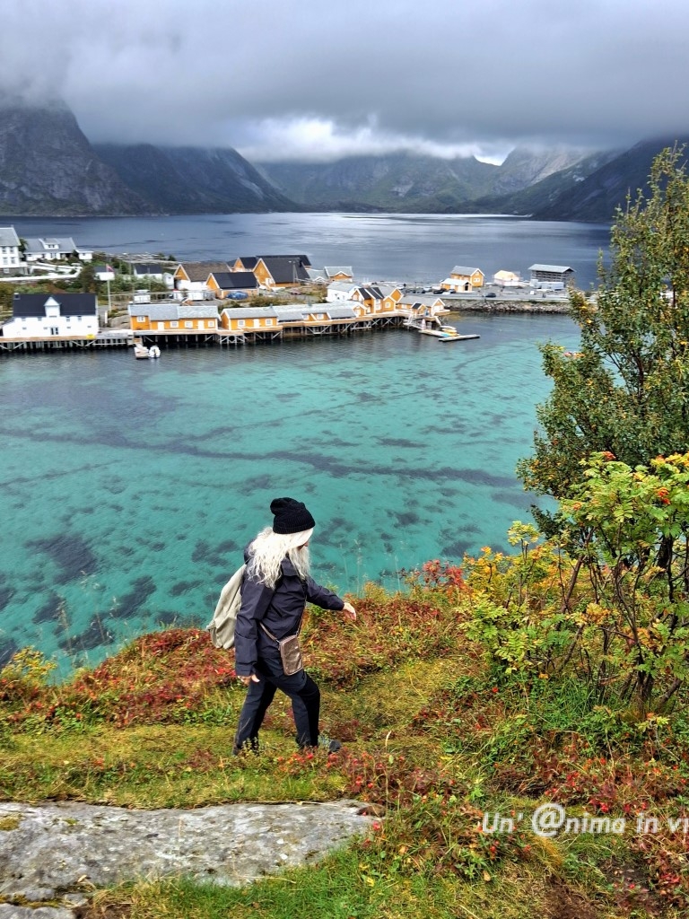 sakrisoy lofoten
