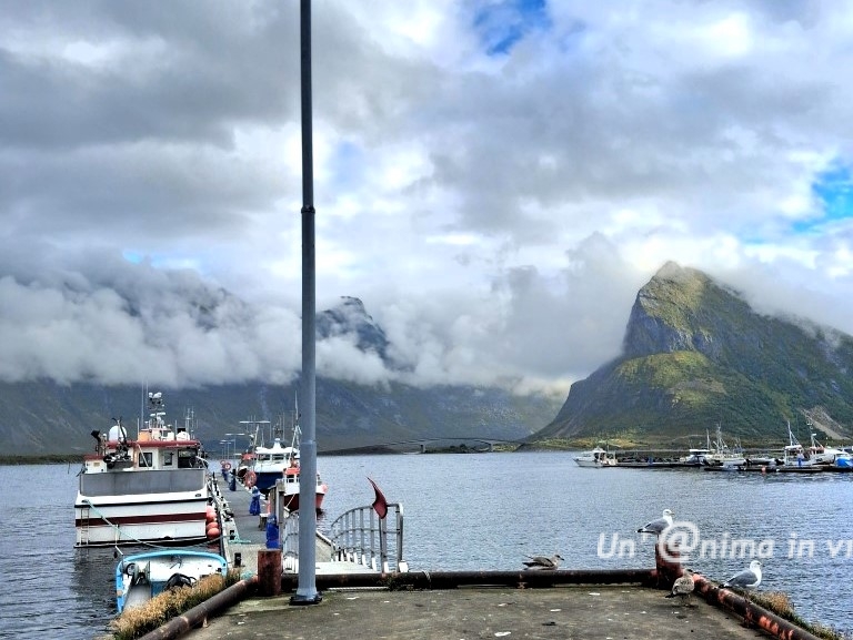 lofoten