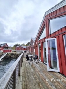 STAMSTUND LOFOTEN