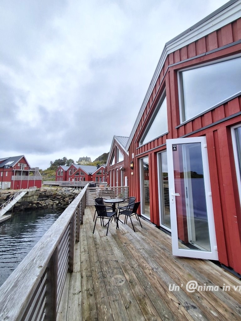 STAMSTUND LOFOTEN