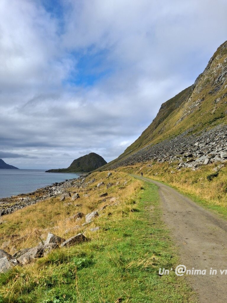 LOFOTEN