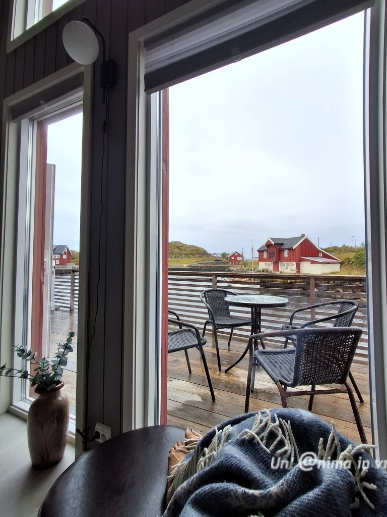 STAMSTUND LOFOTEN